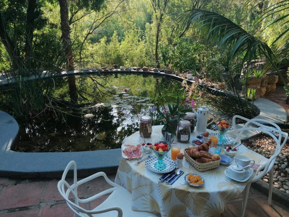 La Fuente Oase B&B Coin Ngoại thất bức ảnh